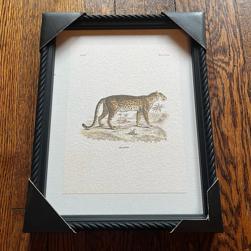 Vintage Leopard Print Ornate Framed Wall Decor 11" x 14" NWT
